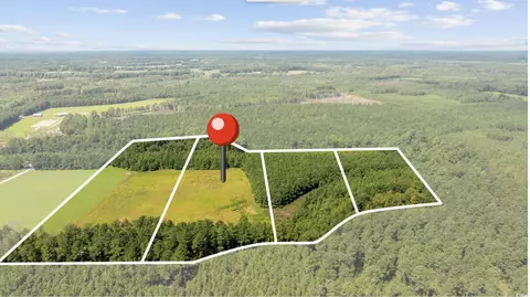 lot3 Womack Rd, Nichols, SC 29581