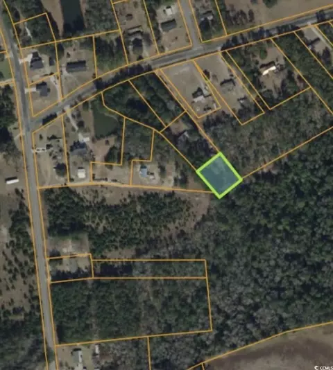 tbd Goretown Loop, Loris, SC 29569 photo 2