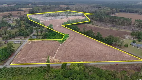 tbd Francis Gibson Rd, Centenary, SC 29519