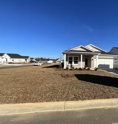 200 Chain Fern Ct, Longs, SC 29568