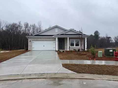 209 Chain Fern Ct, Longs, SC 29568