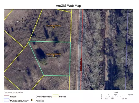 421 N Railroad Ave, Johnsonville, SC 29555