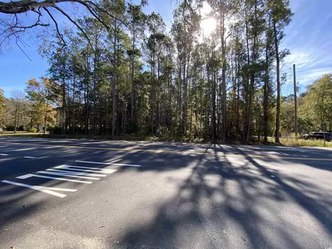 2101 Chavis Rd, Conway, SC 29526 photo 6