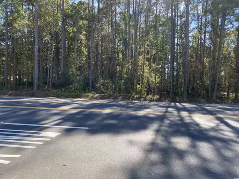 2101 Chavis Rd, Conway, SC 29526 photo 7