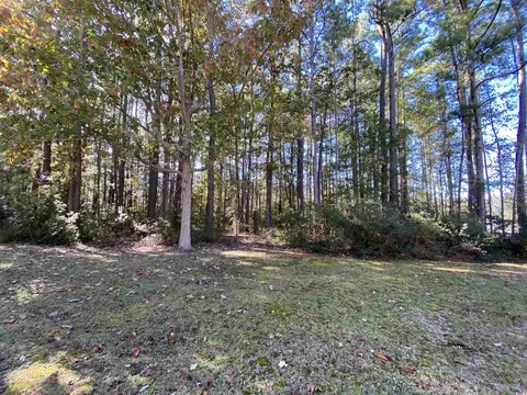 2101 Chavis Rd, Conway, SC 29526 photo 9