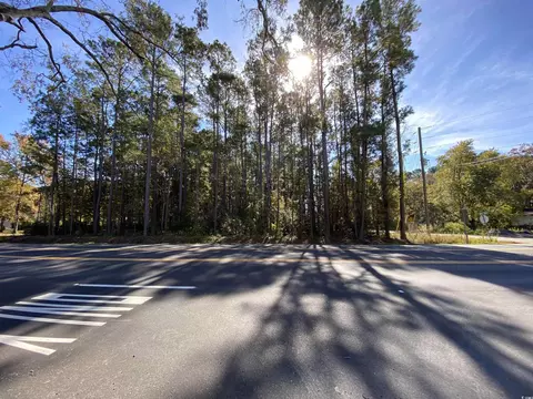 2101 Chavis Rd, Conway, SC 29526 photo 4