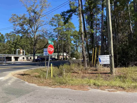 2101 Chavis Rd, Conway, SC 29526 photo 3