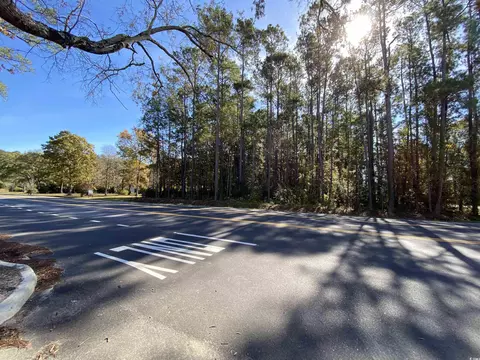 2101 Chavis Rd, Conway, SC 29526 photo 5
