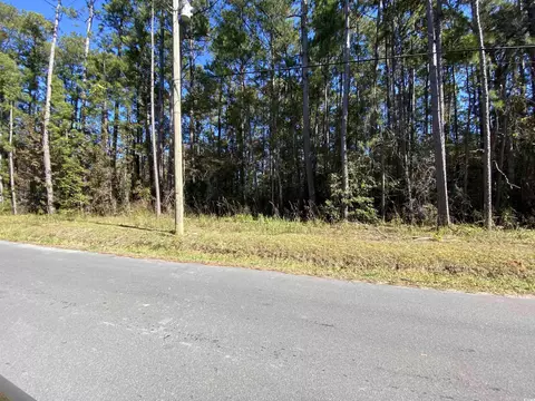 2101 Chavis Rd, Conway, SC 29526