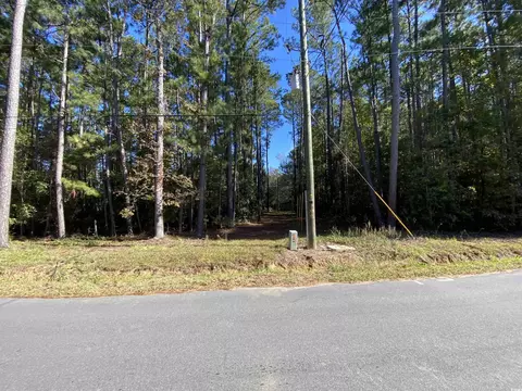 2115 Chavis Rd, Conway, SC 29526 photo 3