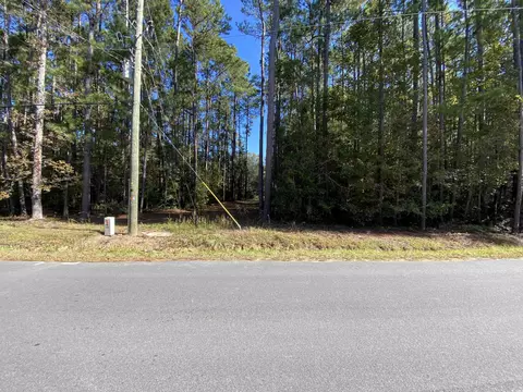 2115 Chavis Rd, Conway, SC 29526 photo 2