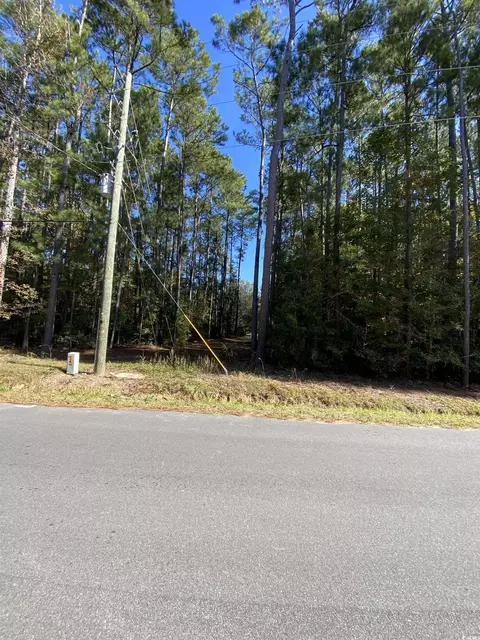 2115 Chavis Rd, Conway, SC 29526