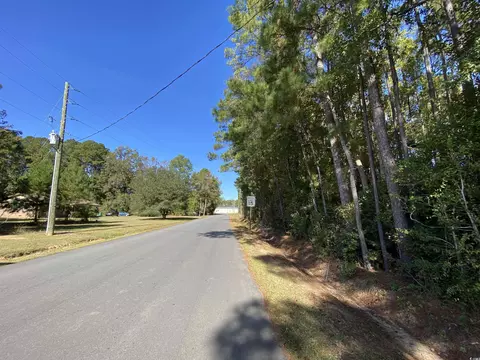 2115 Chavis Rd, Conway, SC 29526 photo 4