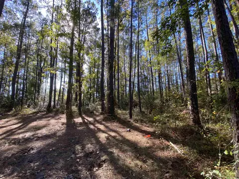 2127 Chavis Rd, Conway, SC 29526 photo 3