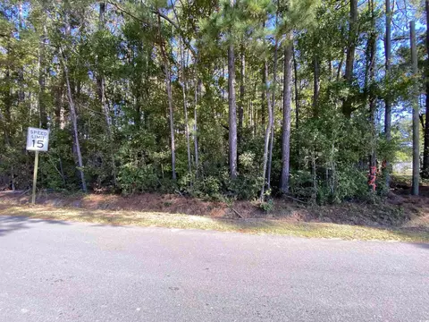 2127 Chavis Rd, Conway, SC 29526 photo 2
