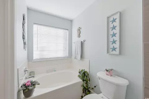 236 Devonbrook Pl, Longs, SC 29568 photo 28