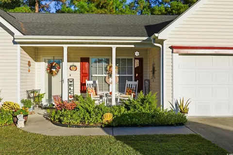 236 Devonbrook Pl, Longs, SC 29568 photo 3