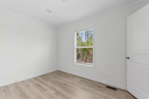 141 Feather Dr, Georgetown, SC 29440 photo 22