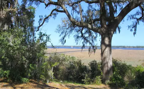 829 Commanders Island Rd, Georgetown, SC 29440 photo 6