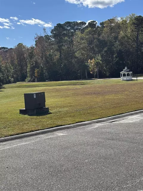 829 Commanders Island Rd, Georgetown, SC 29440 photo 3