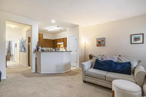 Living - 310 Kiskadee Loop #B, Conway, SC 29526 photo 3 of 3
