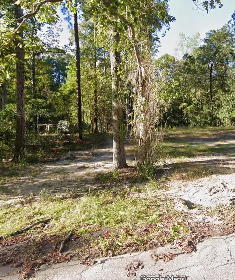 238 Pineneedle Cir, Johnsonville, SC 29555