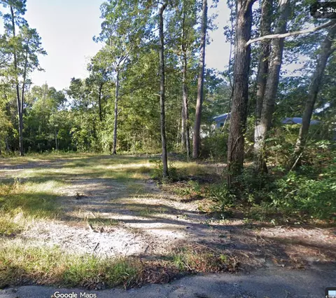 234 Pineneedle Cir, Johnsonville, SC 29555