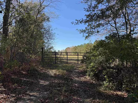 819 Quail Rd, Hemingway, SC 29554