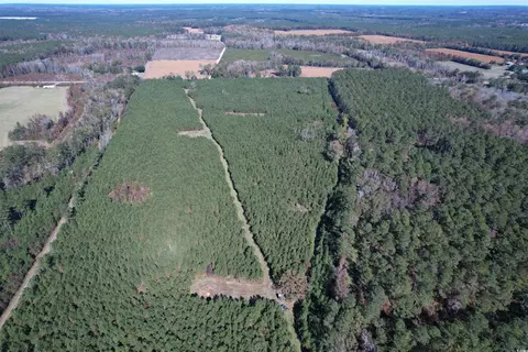 57 40acres-tbd Cades Rd, Cades, SC 29518