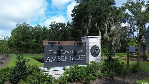 View/Area - 567 Gemstone Blvd #LOT 174, Conway, SC 29526 photo 1 of 2