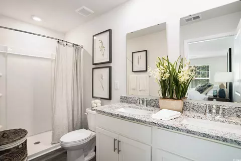 Bath - 567 Gemstone Blvd #LOT 174, Conway, SC 29526 photo 2 of 3