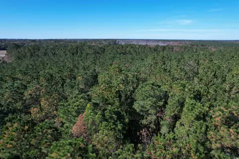 7 90acres-tbd Puncheon Creek Dr, Andrews, SC 29510