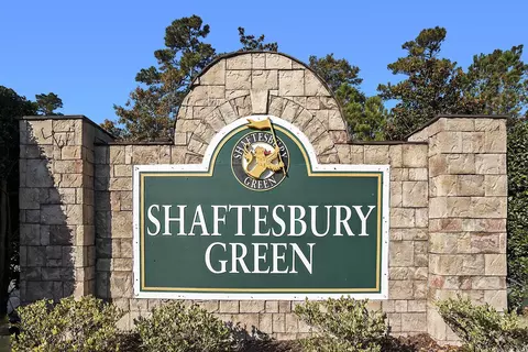 Other - 367 Dunbarton Ln, Conway, SC 29526 photo 5 of 5