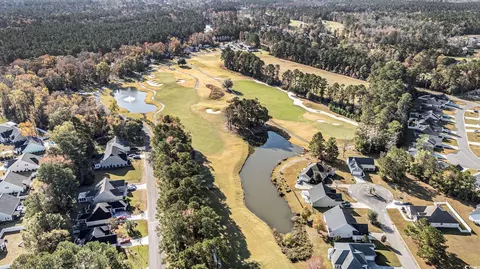 View/Area - 367 Dunbarton Ln, Conway, SC 29526 photo 3 of 4
