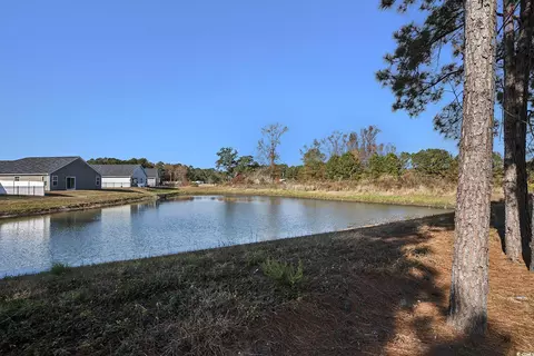 View/Area - 367 Dunbarton Ln, Conway, SC 29526 photo 1 of 4