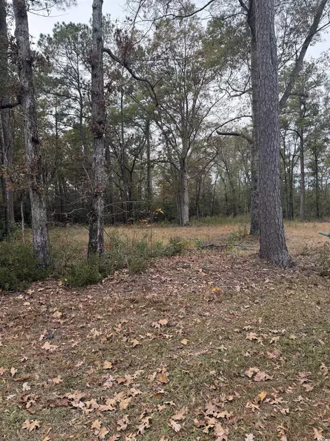 335 Byrnes Cir, Johnsonville, SC 29555