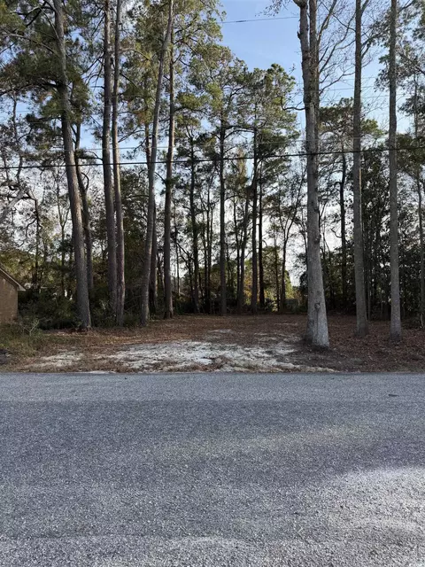 449 Byrnes Cir, Johnsonville, SC 29555
