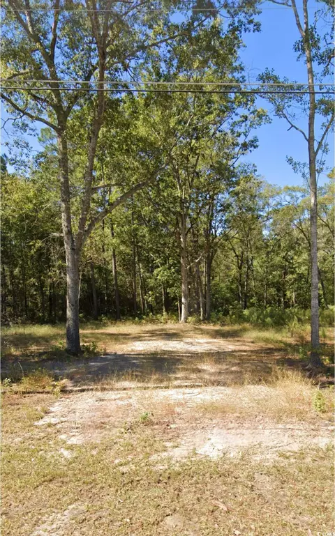 329 Byrnes Cir, Johnsonville, SC 29555
