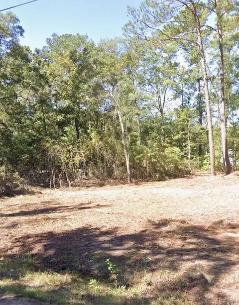 237 Byrnes Cir, Johnsonville, SC 29555