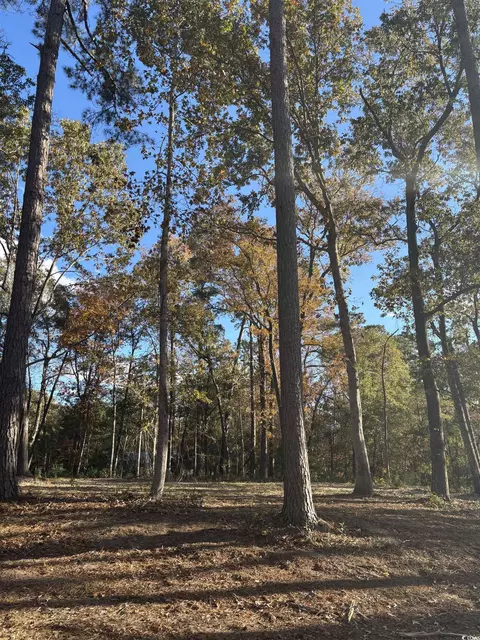 282 Pineneedle Cir, Johnsonville, SC 29555