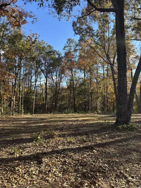 292 Pineneedle Cir, Johnsonville, SC 29555