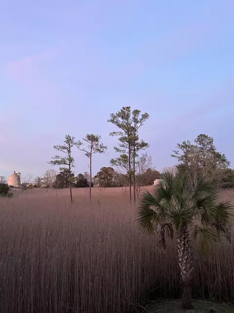 Other - 610 Bayview Dr, Georgetown, SC 29440 photo 12 of 12