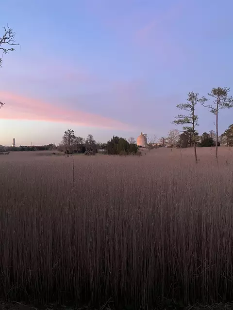 View/Area - 610 Bayview Dr, Georgetown, SC 29440 photo 10 of 10