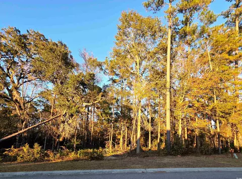 616 Mccown Dr, Conway, SC 29526