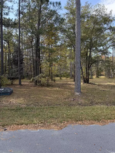 867 Denali Dr, Conway, SC 29526