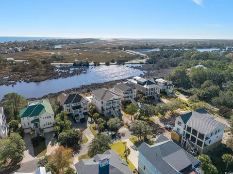 View/Area - 96 Permit Ct, Georgetown, SC 29440 photo 1 of 5