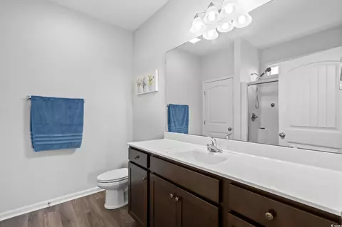 187 Palm Terrace Loop, Conway, SC 29526 photo 23