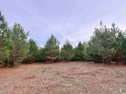 lot2 Tbd New Pine Rd, Johnsonville, SC 29555