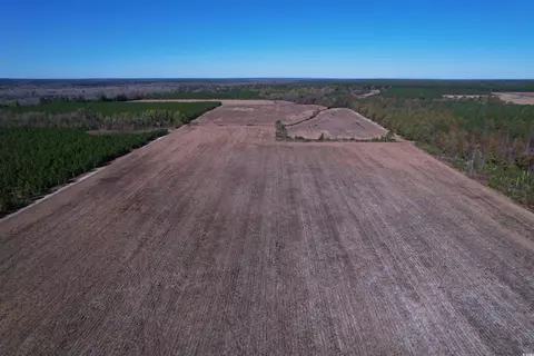 53 86acres-tbd Pate Rd, Bishopville, SC 29010