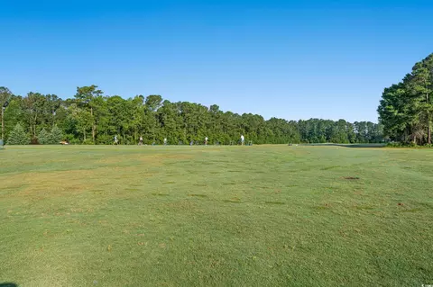 355 Dunbarton Ln, Conway, SC 29526 photo 33